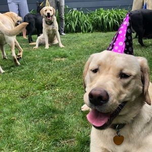 Meet your Posher, Mason